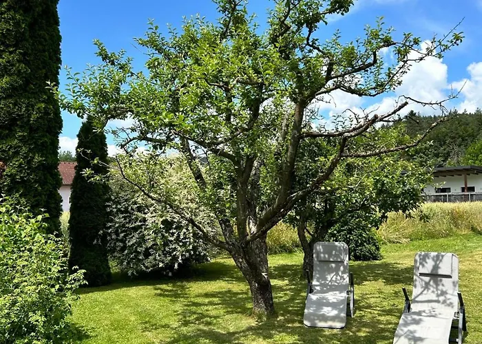 Dom wakacyjny Haus Sonnental